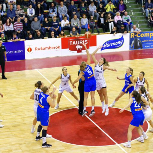 Medzinárodný zápas v basketbale Slovensko vs. Bosna a Hercegovina v Ružomberku, 2018