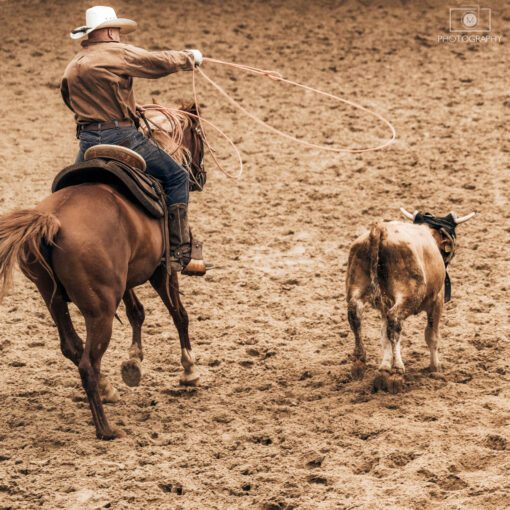 Western rodeo 2019, Vyšné Malatiny