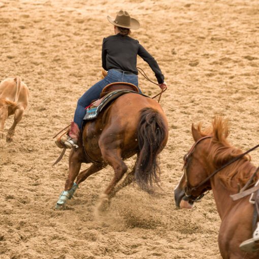 Western rodeo 2019, Vyšné Malatiny