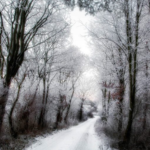 Prechádzka zasneženou krajinou