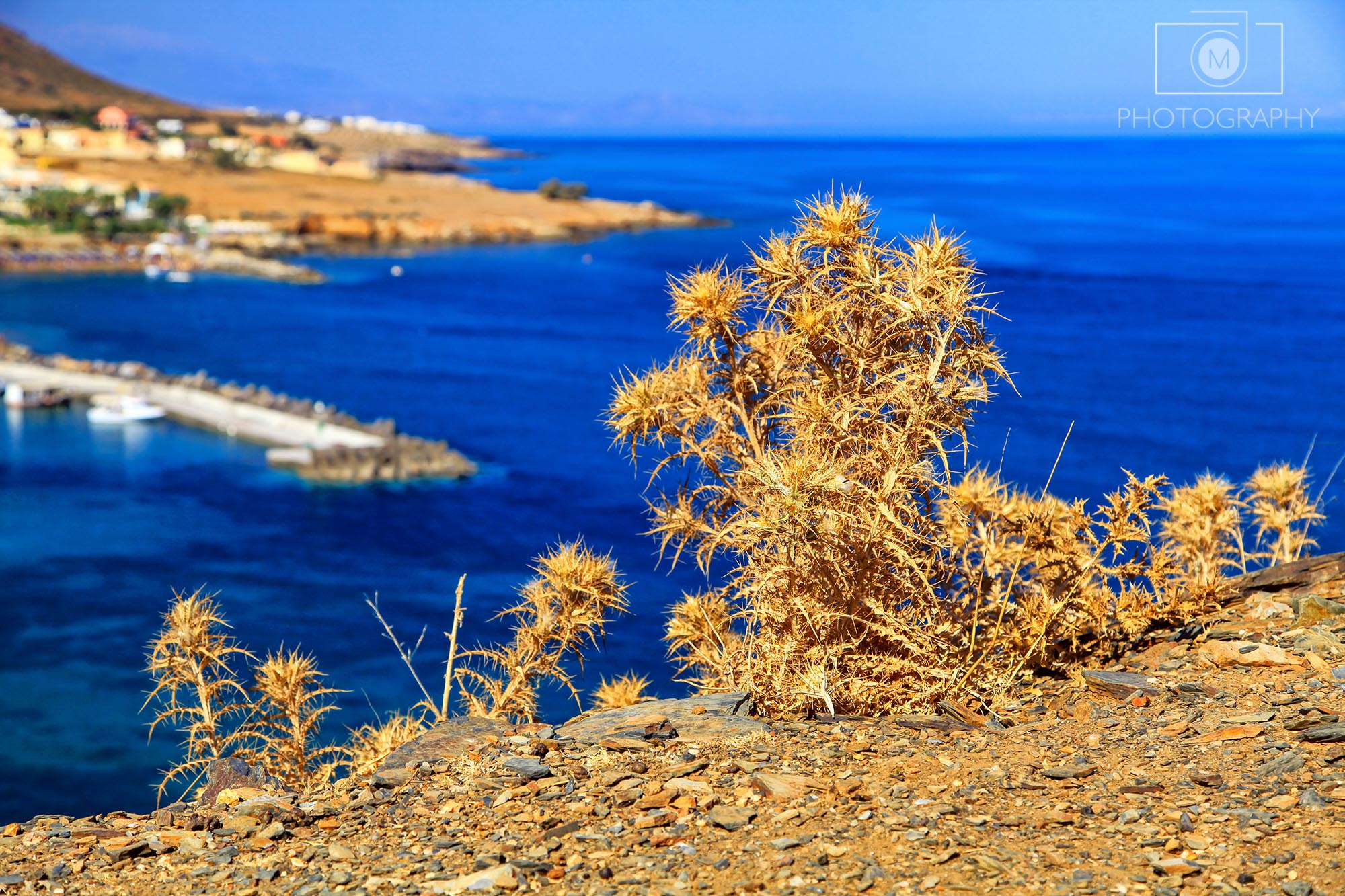 Stredomorská krajina, Kréta