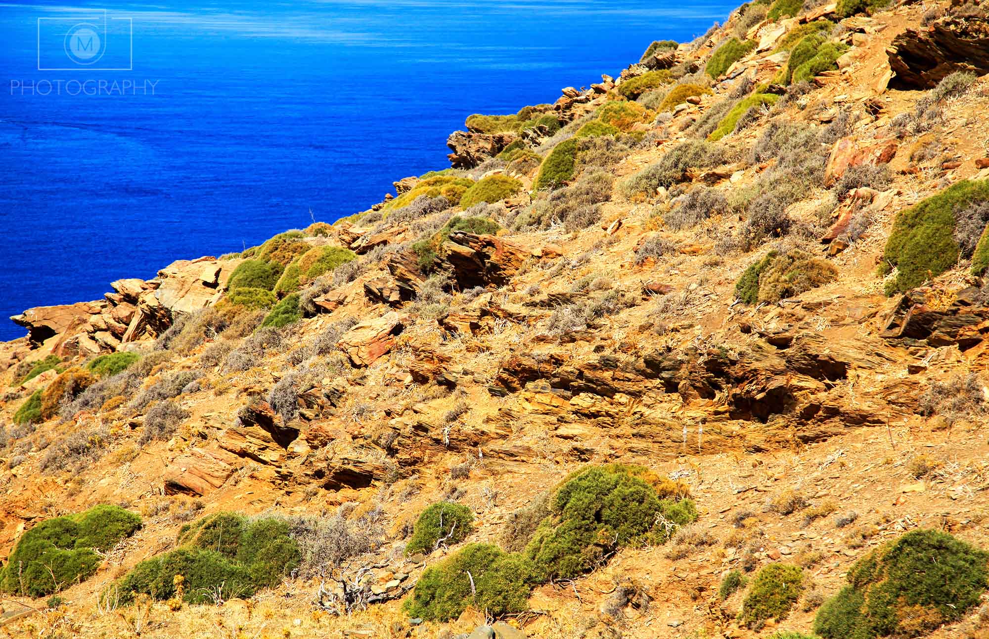Stredomorská krajina, Kréta
