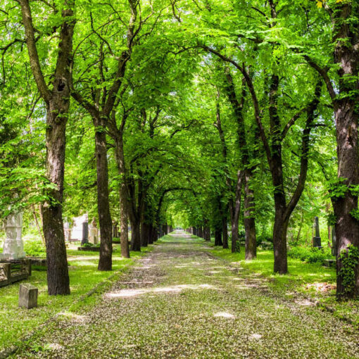 Kerepesi cintorín v Budapešti, Maďarsko