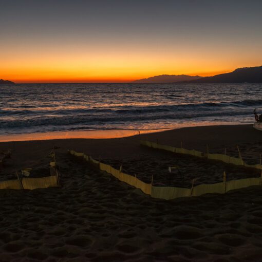 Večer na pláži Kalamaki s hniezdami korytnačiek Caretta caretta, Kréta