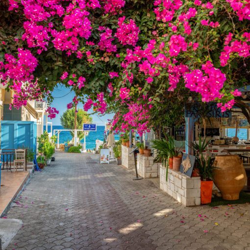 Kvitnúca ulička v Panormose – farby a vône Kréty pri mori