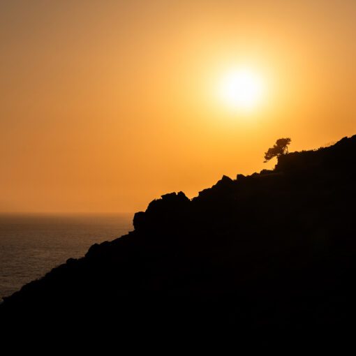Silueta útesu a stromu v zlatej žiare západu – Panormos, Kréta