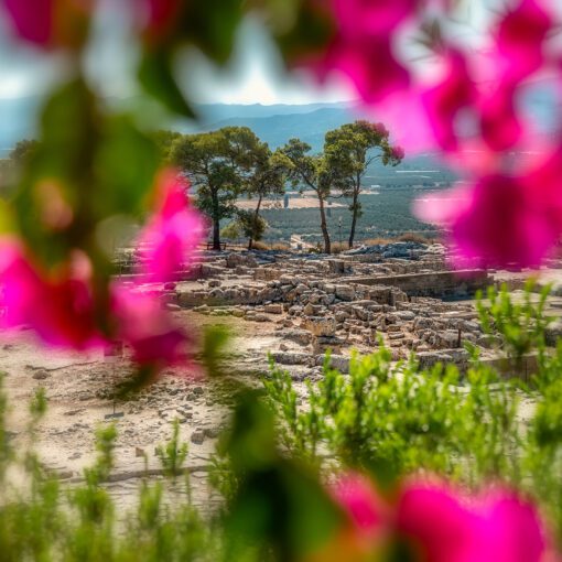 Pohľad na ruiny Phaistos cez kvety bougainvilley – Kréta