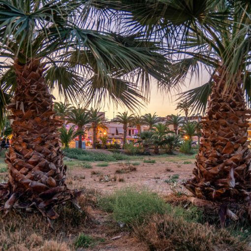 Palmy a večerná atmosféra mesta Rethymno – Kréta