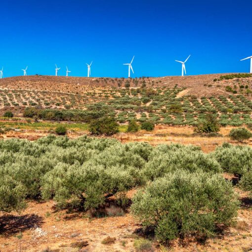 Veterné turbíny a olivové háje – moderná energia v krajine Kréty