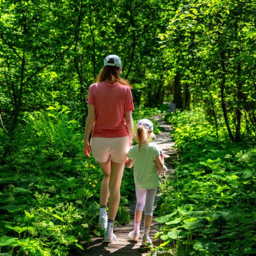 Náučným chodníkom Pramenisko