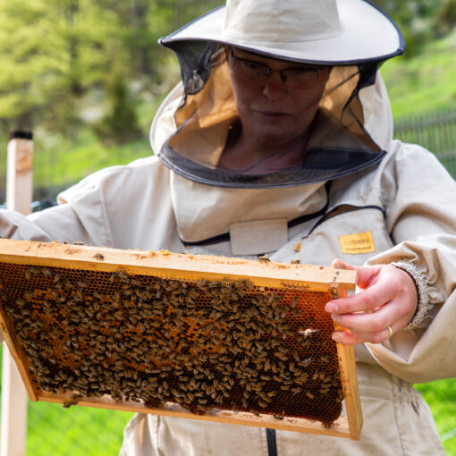 Včelárstvo Poctivô z Liptova, 2022