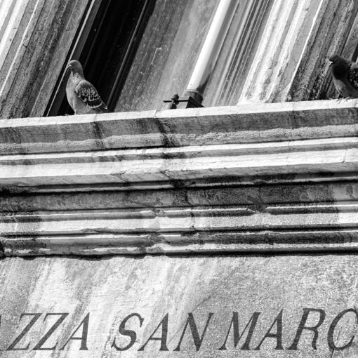 Námestie San Marco v Benátkach