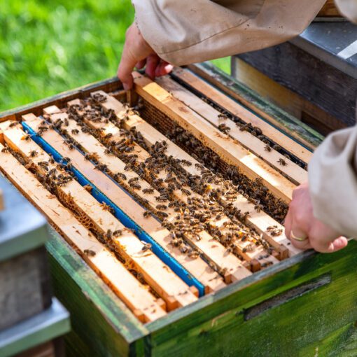 Včelárstvo Poctivô v Liptovských Revúcach