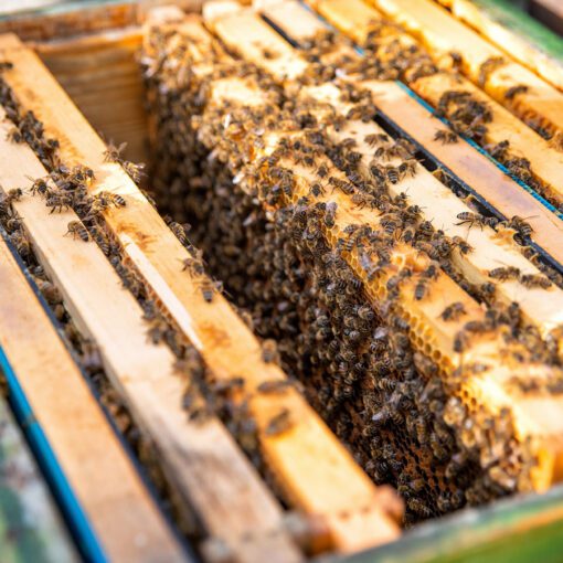 Včelárstvo Poctivô v Liptovských Revúcach