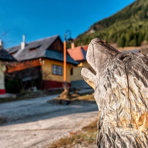 Detaily z Vlkolínca