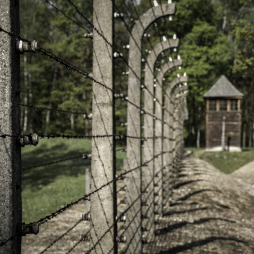 Koncentračný tábor Auschwitz II (Birkenau)