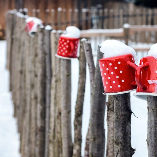 Zima v Čutkovskej doline