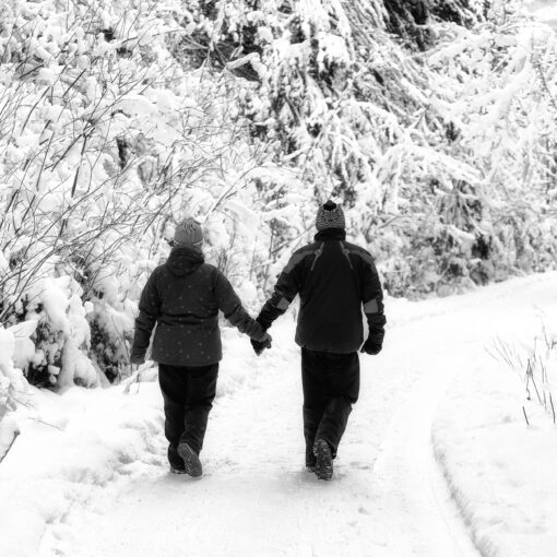 Prechádzky s manželom, 2019