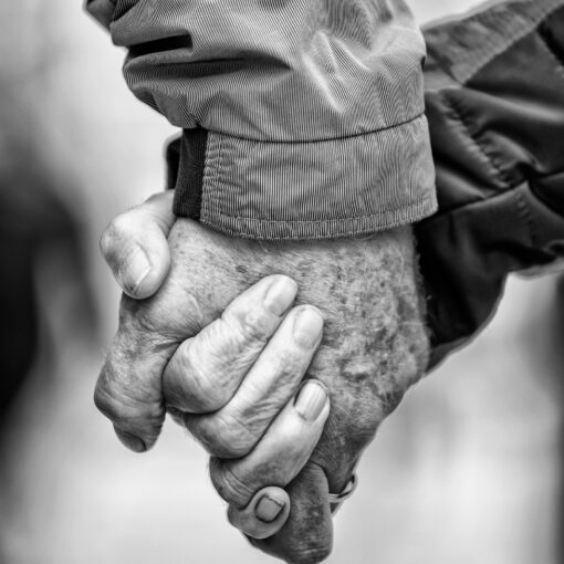 Prechádzky s manželom, 2021