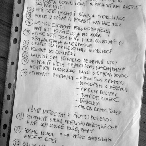 Manuál na mamu..., 2023