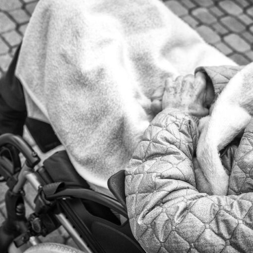 Na vychádzke s manželom, 2024