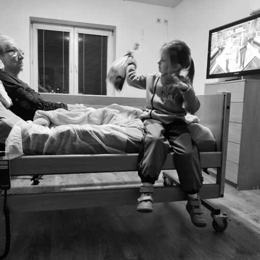 Návšteva vnučky, 2024