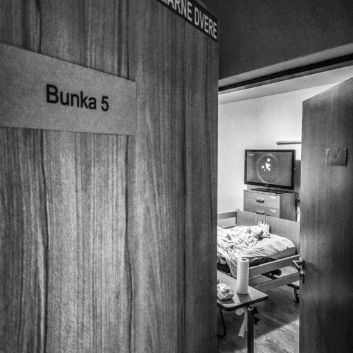 Bunka 5 - nový domov, 2024