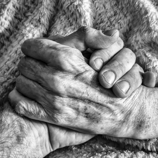 Každý deň spolu, 2025