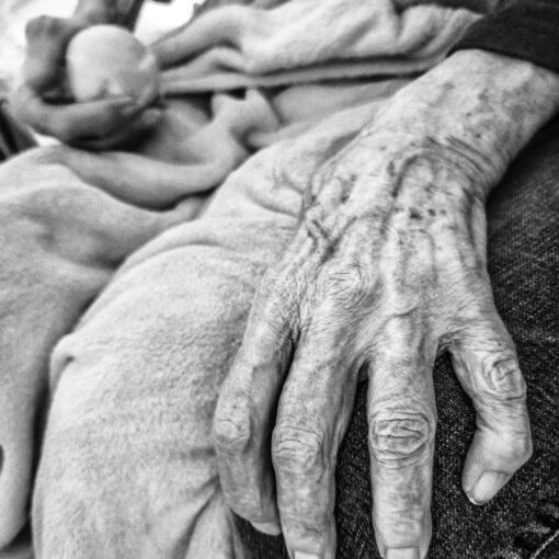 Zariadenie pre seniorov, 2025