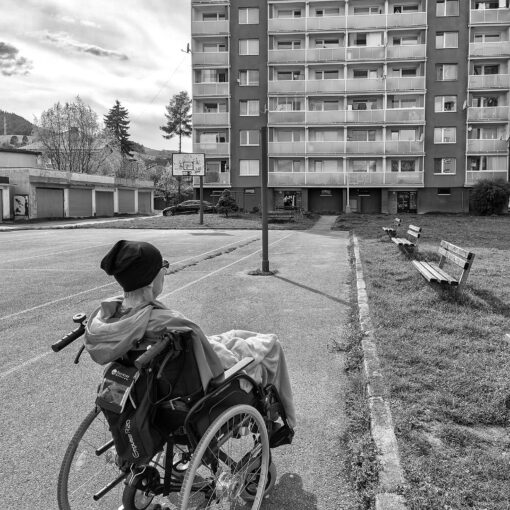 Po polroku opäť von, 2025