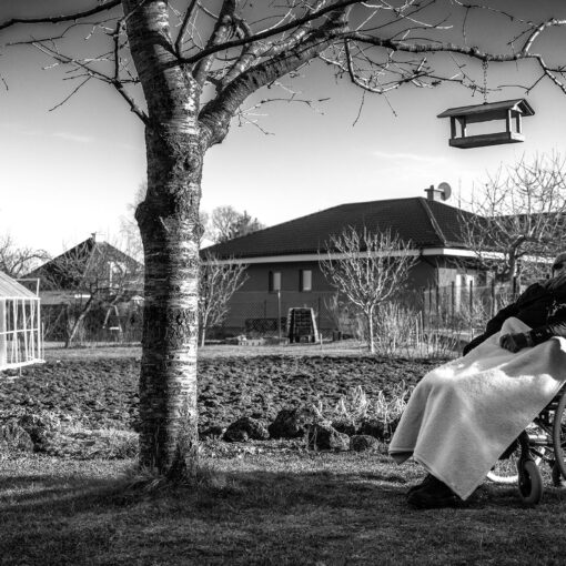 U opatrovateľky, 2024