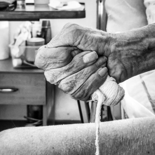 Zariadenie pre seniorov, 2025