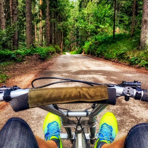 Cestou z Malina Brda na horskej káre