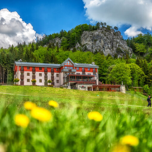 Hotel Malina na Malinom brde