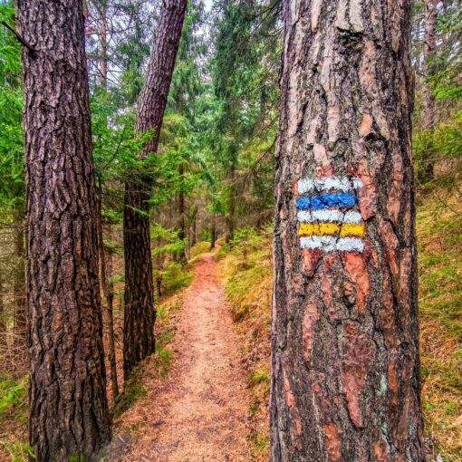 Chodníkom na Malinô Brdo