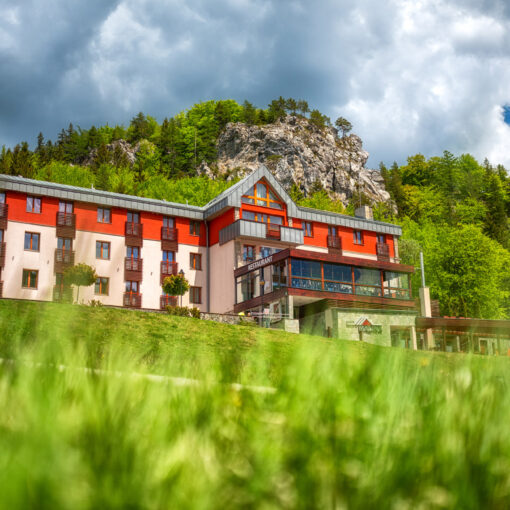 Hotel Malina pod Halinami