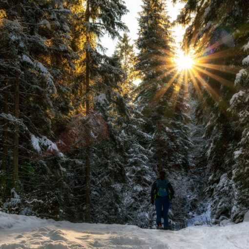 Skialp Medveďou cestou