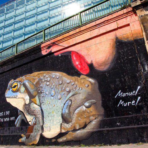 Graffiti na Viedenskom nábreží