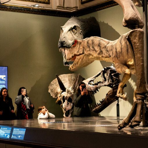 Prírodovedecké múzeum vo Viedni