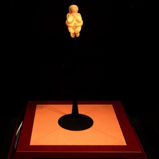 Venuša z willendorfu v prírodovedeckom múzeu