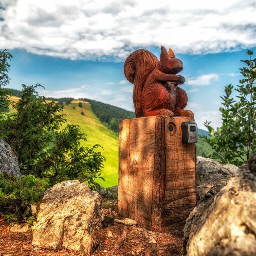 Rodinná hra Záhady lesa