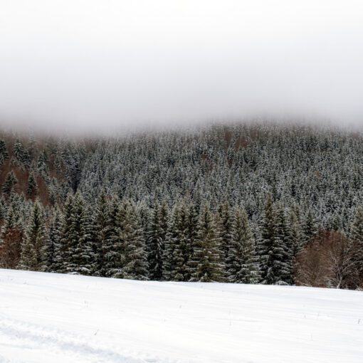 Zima vo Veľkej Fatre