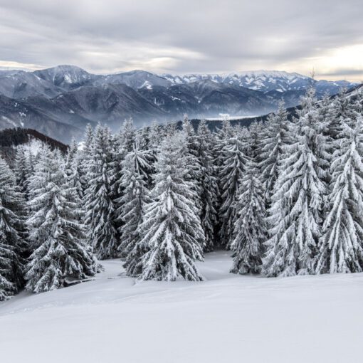 Zima vo Veľkej Fatre